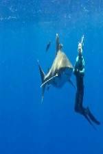 Watch Jaws The Great White Myth [2012] Putlocker